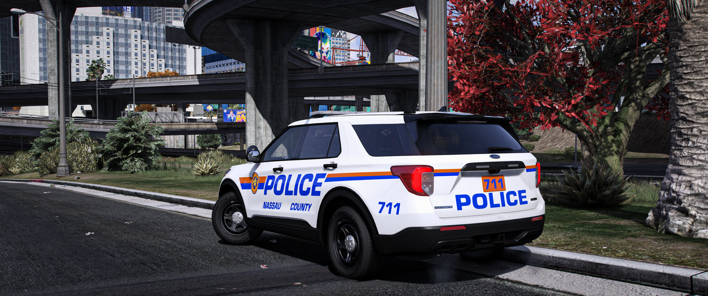 Nassau County PD 2020 FPIU