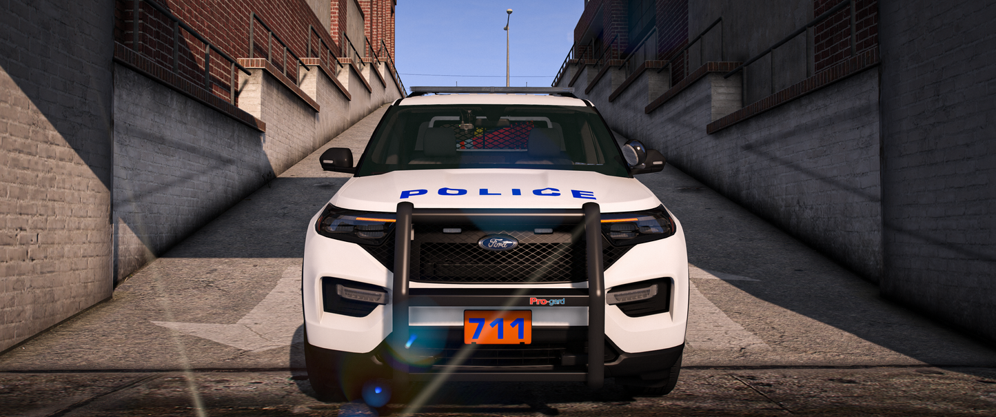 Nassau County PD 2020 FPIU