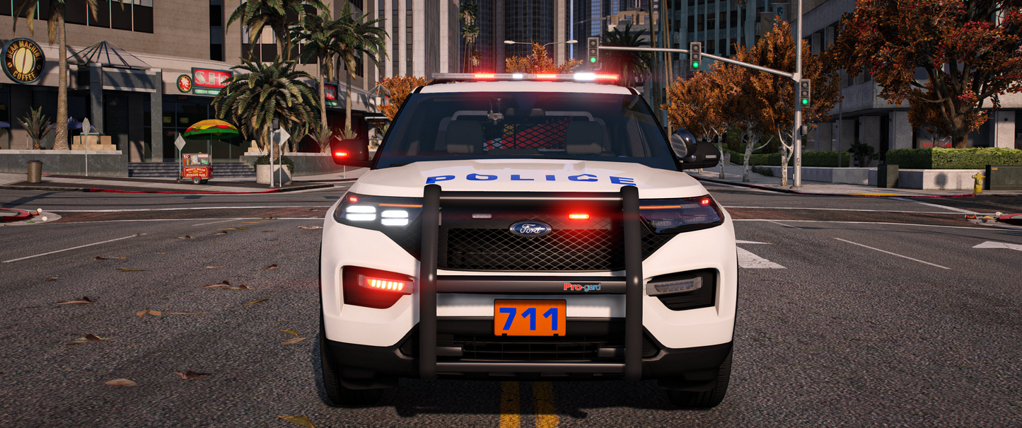 Nassau County PD 2020 FPIU