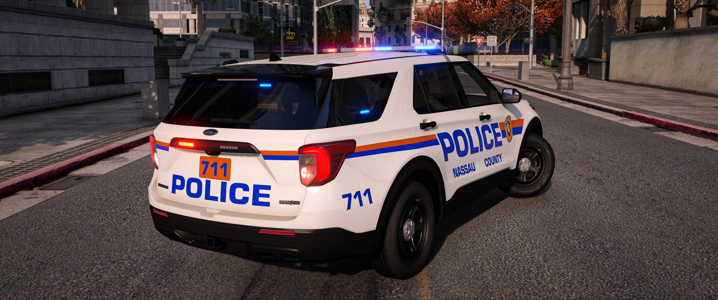 Nassau County PD 2020 FPIU