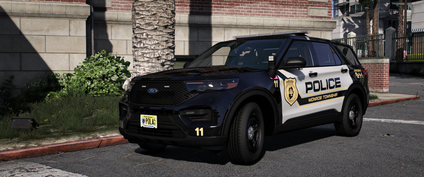 Monroe Township 2020 FPIU