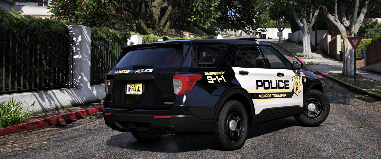 Monroe Township 2020 FPIU