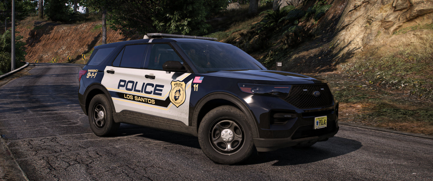 Monroe Township 2020 FPIU