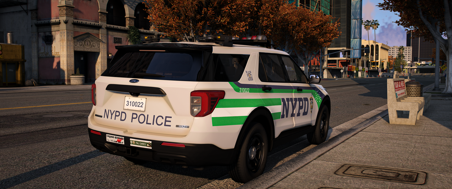 NYPD 2020 FPIU