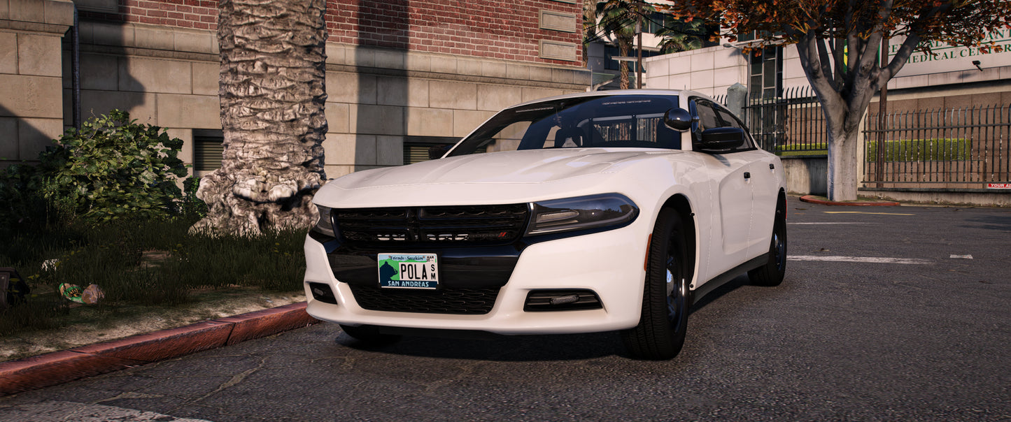 2018 Charger