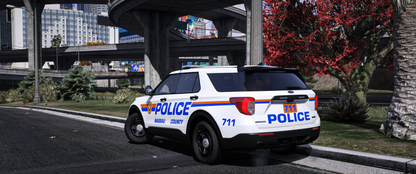 Nassau County PD 2020 FPIU