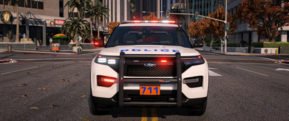 Nassau County PD 2020 FPIU