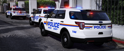 Nassau County PD 2016 FPIU