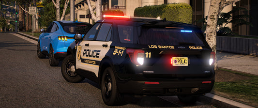 Monroe Township 2020 FPIU