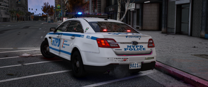 NYPD 2013 FPIS