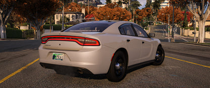 2018 Charger