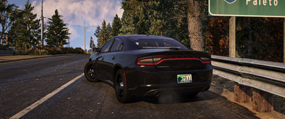 2018 Charger