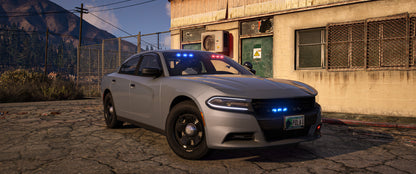 2018 Charger