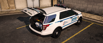 NYPD 2013 FPIU