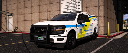 2025 F-150 Fly Car