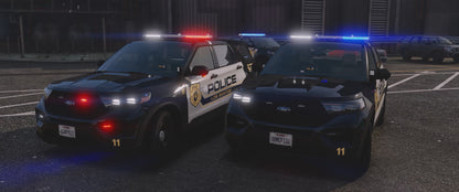 Monroe Township 2020 FPIU