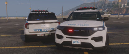 NYPD 2025 FPIU